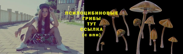 2c-b Алзамай