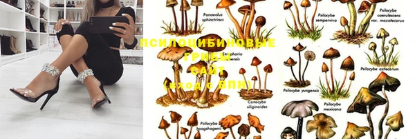 кокаин перу Алексин