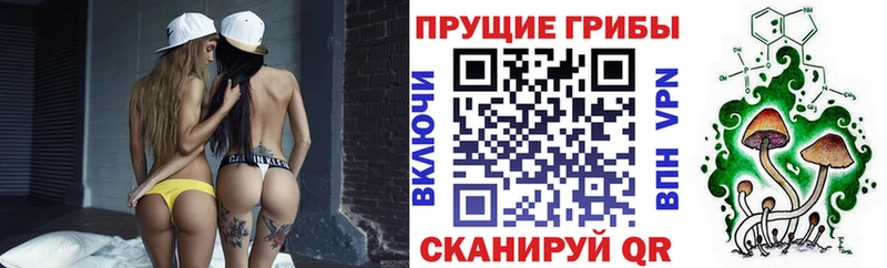 Галлюциногенные грибы Cubensis  darknet состав  Пугачёв 