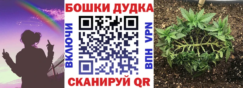 Канабис сатива Пугачёв